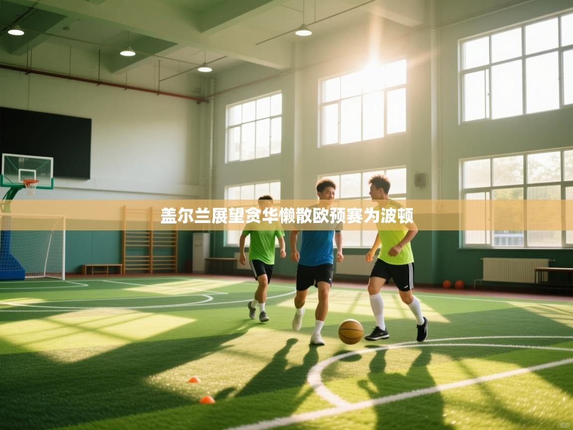 盖尔兰展望贪华懒散欧预赛为波顿 第1张