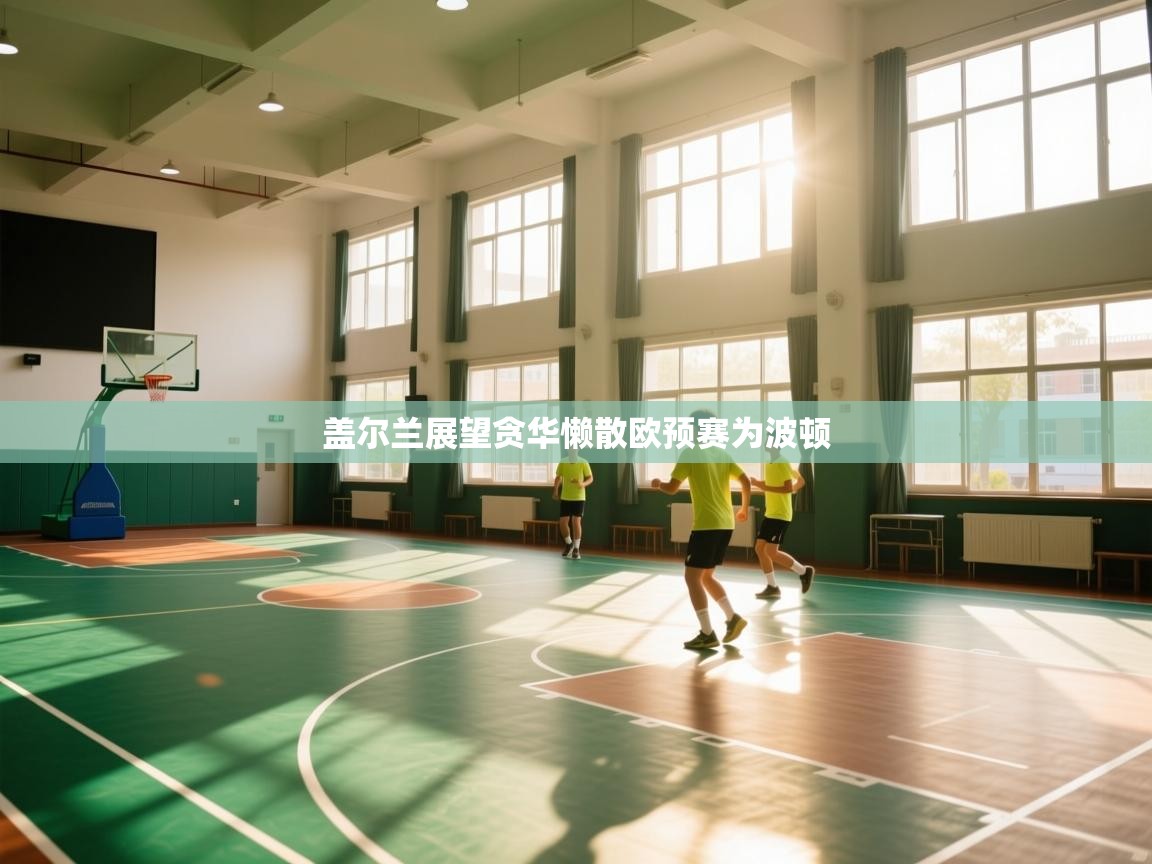 盖尔兰展望贪华懒散欧预赛为波顿 第2张