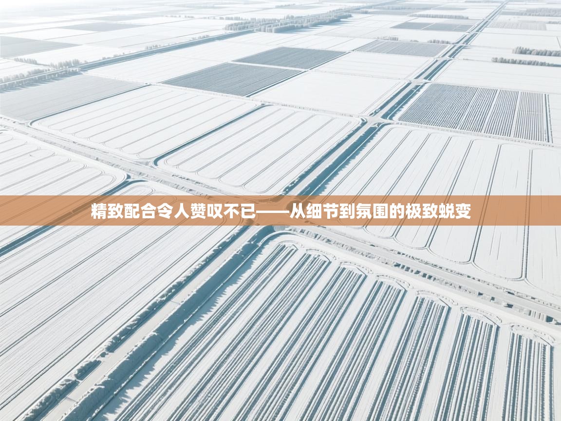 精致配合令人赞叹不已——从细节到氛围的极致蜕变  第1张