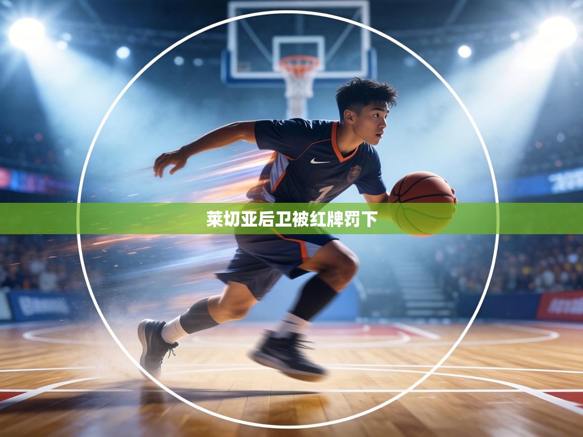 莱切亚后卫被红牌罚下  第2张