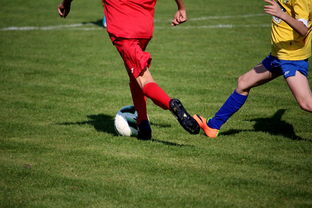 爱游戏体育-仰泳大战美队领先毫厘之间，仰泳比赛视频欣赏